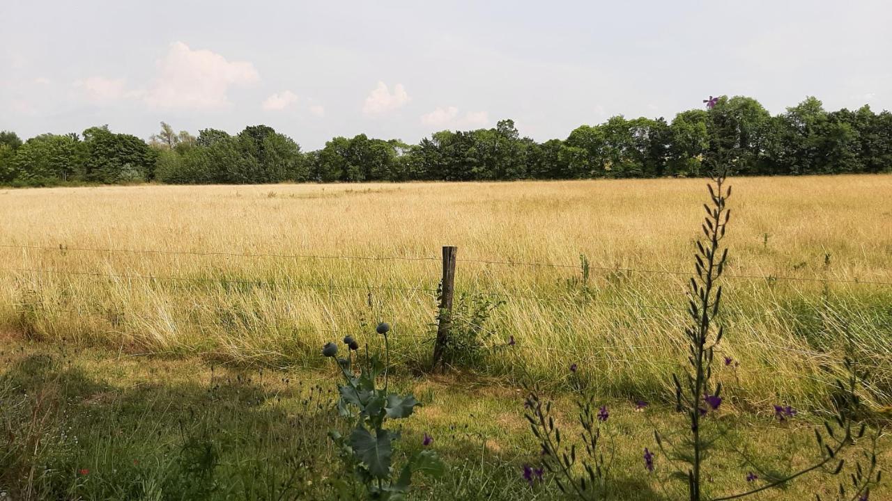 Biesboschbest Werkendam エクステリア 写真