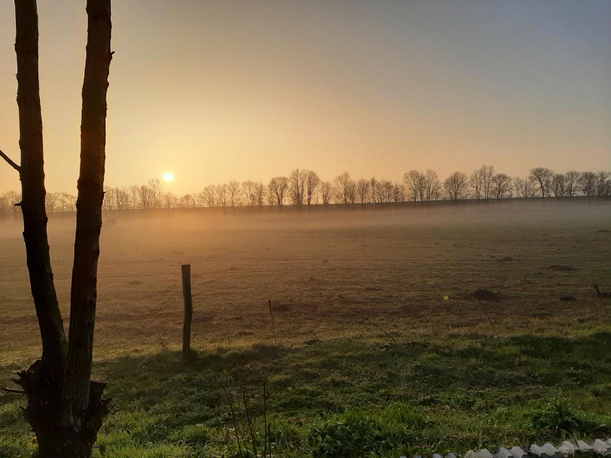 Biesboschbest Werkendam エクステリア 写真